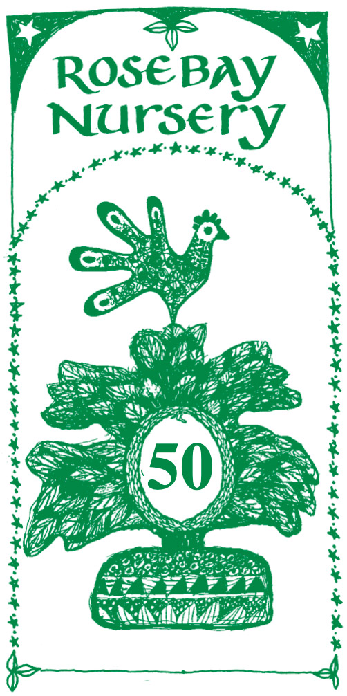 Rosebay Nursery - Celebrating 50 years